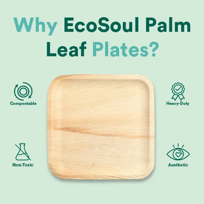 Palm Leaf vs. Plastic: The Sustainable Choice for Eco-Conscious Consumers