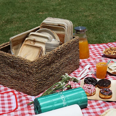 Green Gatherings: Hosting an Eco-Friendly Picnic with Sustainable Plates