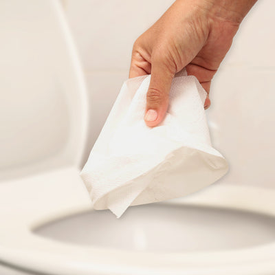 Image showing Eco Soul Premium Bamboo wipes can be flushable