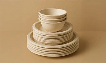 What Makes a Disposable Plate Compostable? A Closer Look at Bagasse