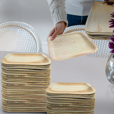 Disposable Plates & Sustainability: Key Points To Keep In Mind