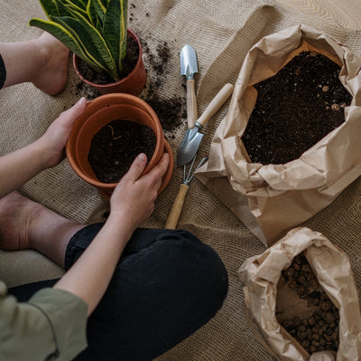 5 Sustainable Terms You Should Know In 2023