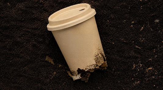 Are Coffee Cups Compostable