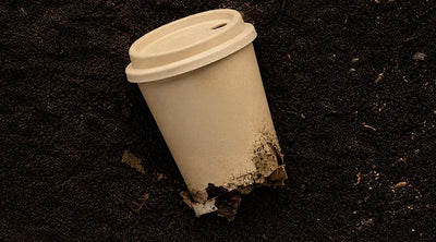 Are Coffee Cups Compostable? The Truth About Paper Cups