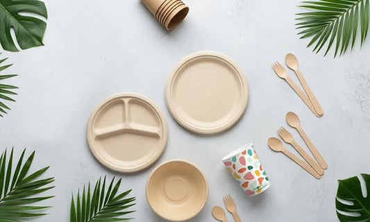 Are Disposable Plates Eco-Friendly