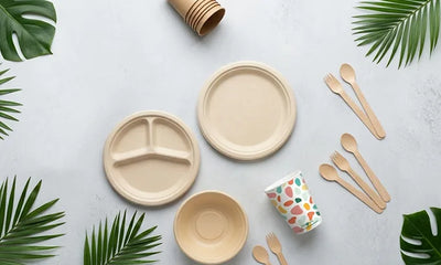 Are Disposable Plates Eco-Friendly? Let’s Break It Down Simply