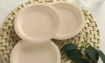 Why Choose Bagasse Products Over Plastic?