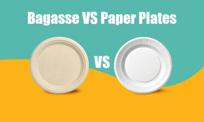 Bagasse vs Paper Plates: Which Is Better for the Planet?