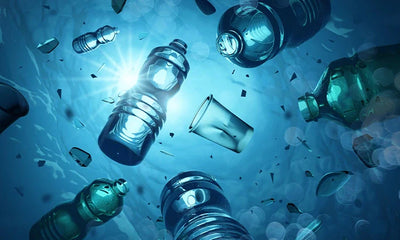 The Hidden Impact of Plastic Waste on Oceans and Wildlife