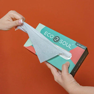 What Are Tree-Free Facial Tissues and Why Should You Make the Switch