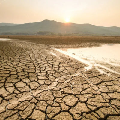 Is Climate Change Real? Busting Top 5 Myths