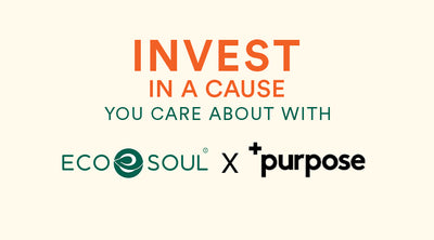 Going Beyond Profit: The Collaborative Journey of EcoSoul and +Purpose 