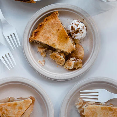 Choosing Bagasse Plates For Minimalist & Eco-Friendly Picnics