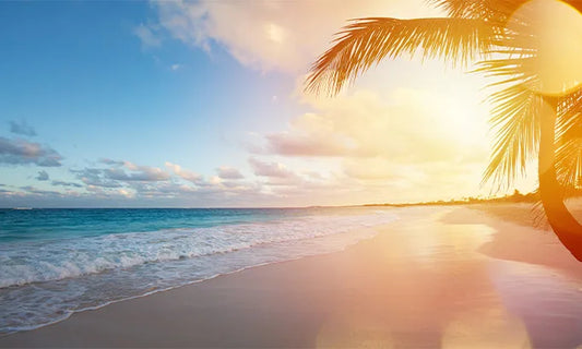 Summer Solstice 2026: How to Celebrate with Less Waste?
