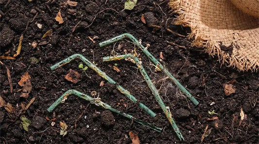 What Are Compostable Straws Made Of