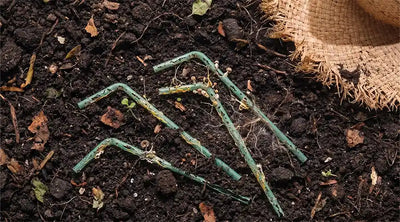 What Are Compostable Straws Made Of? Materials, Benefits & How They Break Down