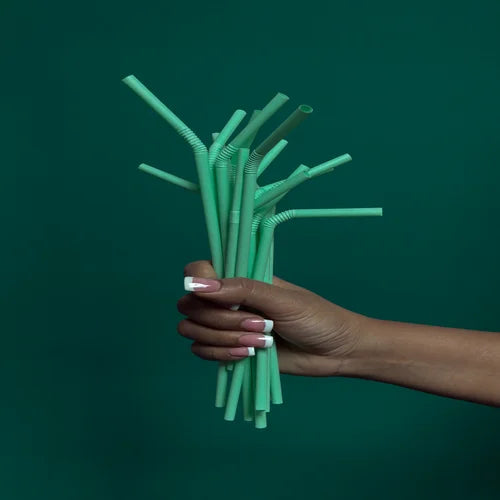Holding a bunch of green PLA straws - Eco Soul