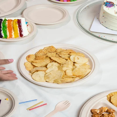 Eco-Friendly Plates Made of Sugarcane - Eco Soul