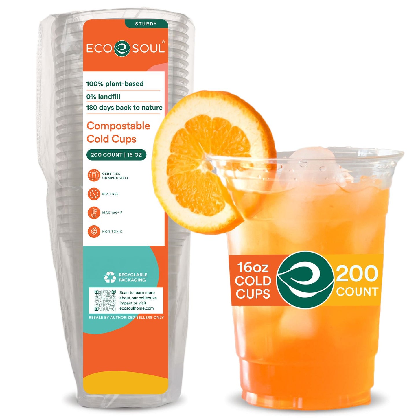 16 oz Compostable Party Cups