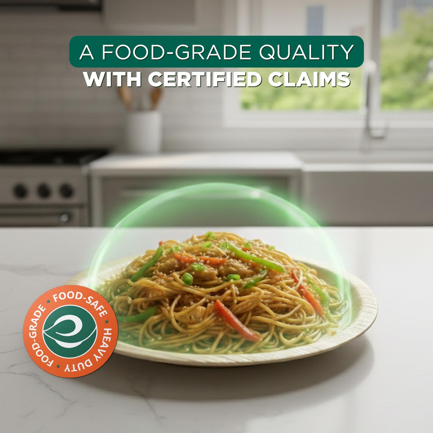 10 Inch Round Compostable Bamboo Plates