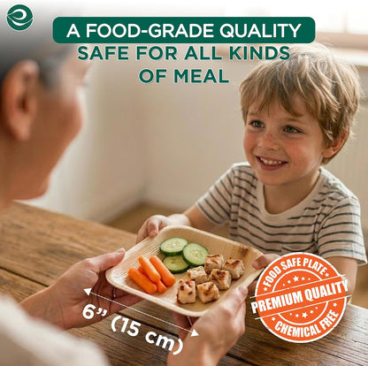 6 Inch Square Compostable Bamboo Plates