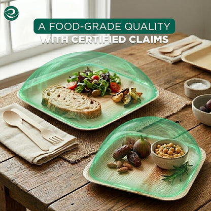 10 Inch & 7 Inch Square Compostable Bamboo Plates