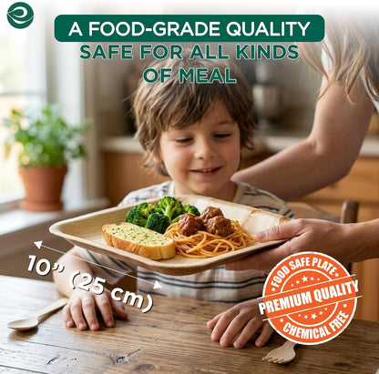 10 Inch Square Compostable Bamboo Plates