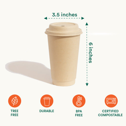 Eco-Friendly Disposable Cups with Lids, 16oz, Available Online