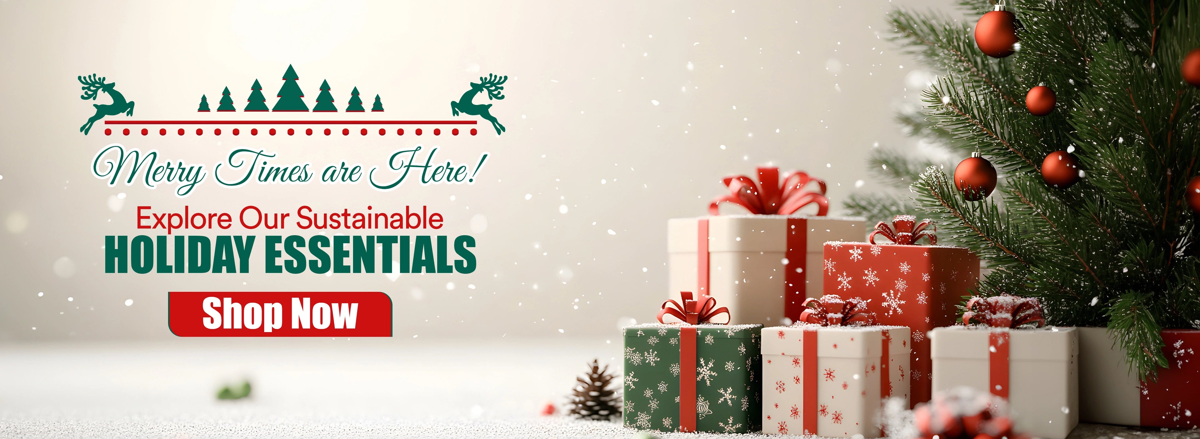 Christmas Essentials for ecofriendly Party