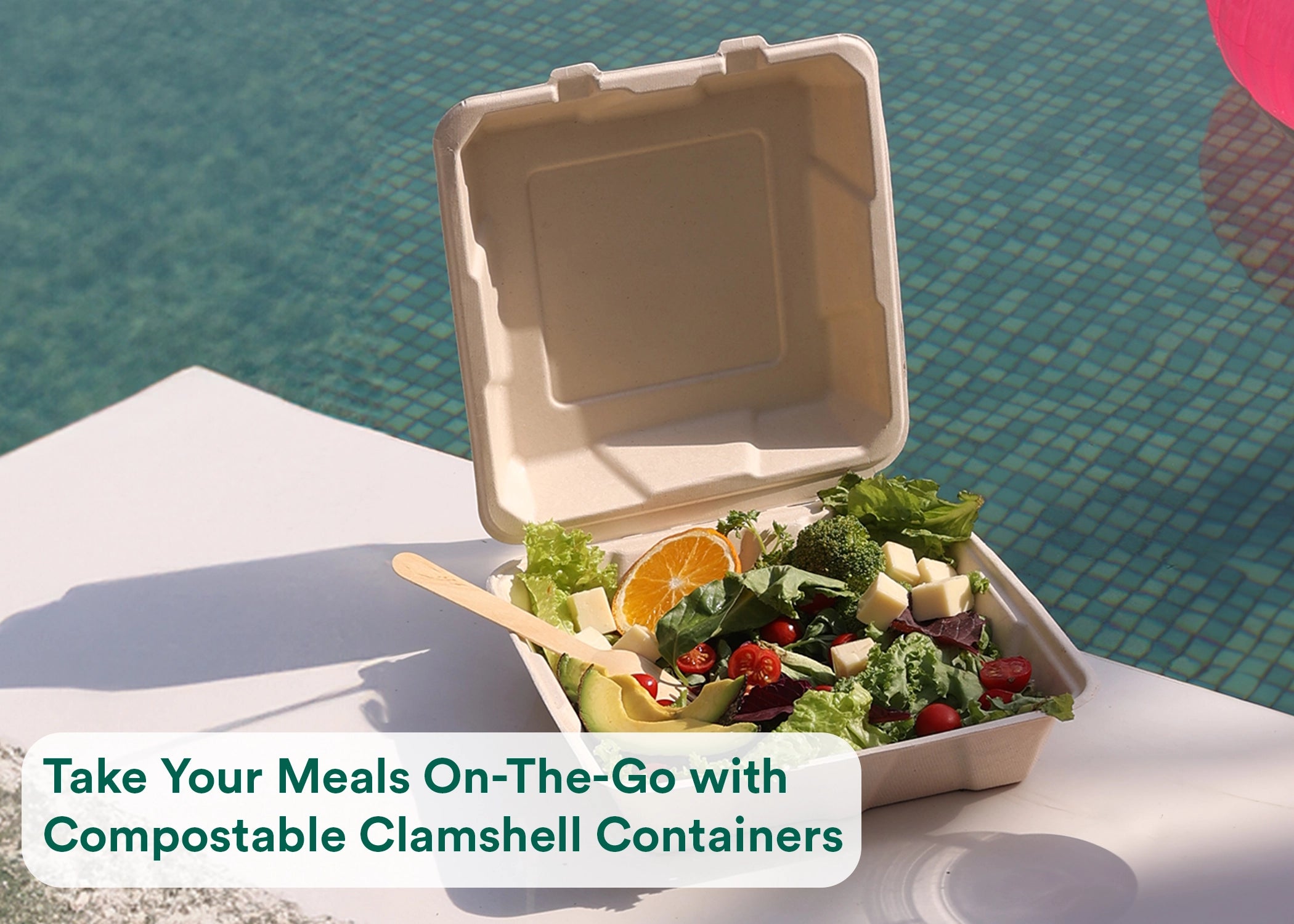 Buy Clamshells Containers Online | Clamshell Packaging – EcoSoul Home
