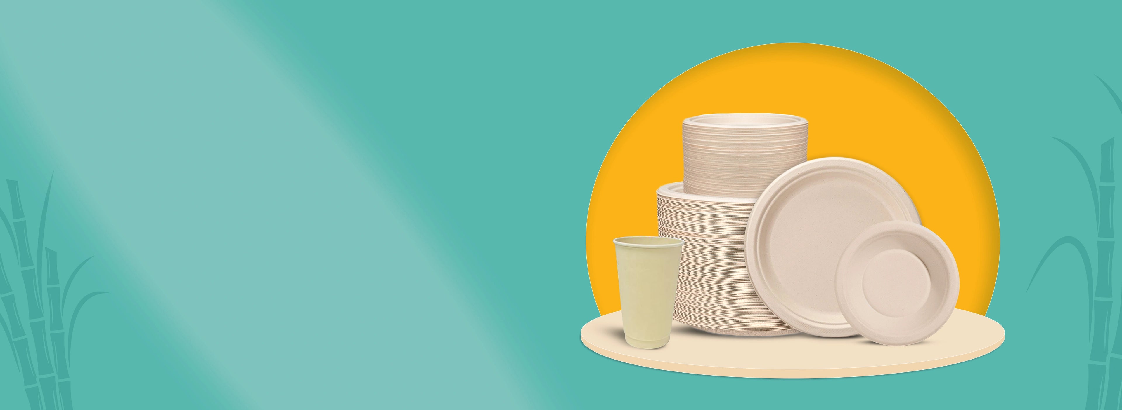 Streal Deal Sale on Ecofriendly Tableware