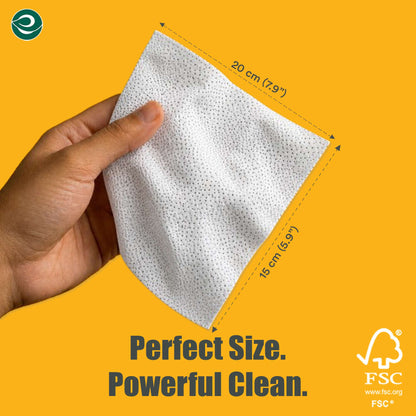 ECO SOUL Scrub & Shine Shoe Cleaning Wipes (50 Count, Pack of 2)