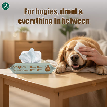 Pet Wipes for Dogs & Cats  with Aloe & Glycerin | Pack of 2 (200 Wipes)