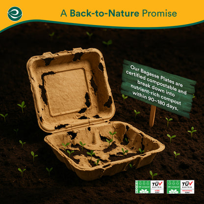 Compostable Clamshell Take Out Food Containers With Lids [6X6]