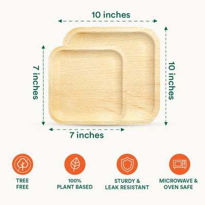 Square compostable palm leaf plates displaying size, measurements and features.