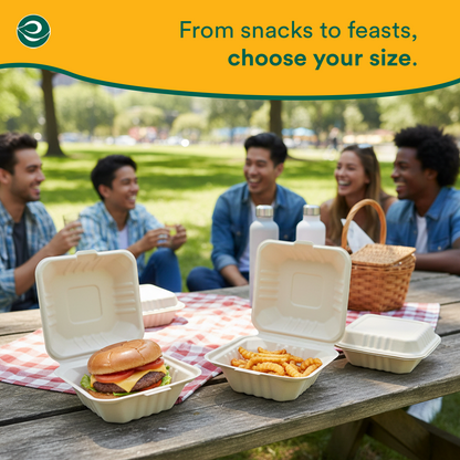 Compostable Clamshell Take Out Food Containers With Lids [6X6]