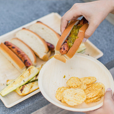 Person holding a hot dog and chips on a 8 Inch Round Compostable Palm Leaf Plates.
